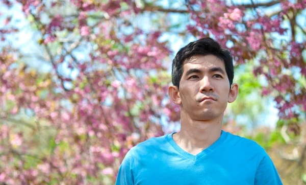 A man in the Wild Himalayan Cherry — Stock Photo, Image