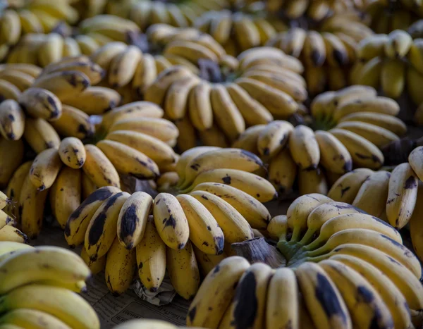 Grupa typu banan lub pisang mas — Zdjęcie stockowe