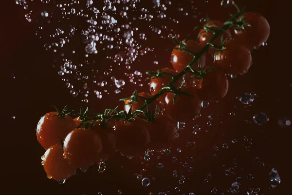 Tomaten splash van water — Stockfoto