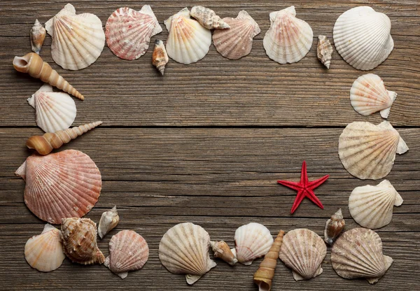 Eski ahşap yüzeyde Seashells çerçeve — Stok fotoğraf