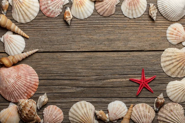 Seashells frame on old wooden surface — Stock Photo, Image