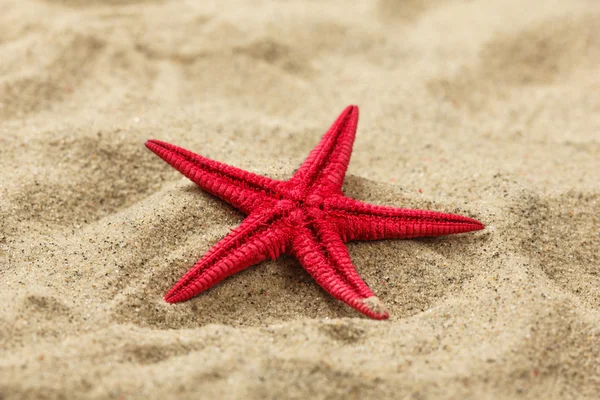 Primer plano de una estrella de mar roja en el patrón de arena de playa — Foto de Stock