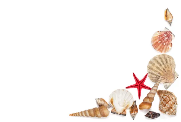 Deniz kabukları çerçeve köşe