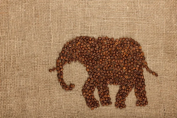 Éléphant fabriqué à partir de grains de café — Photo