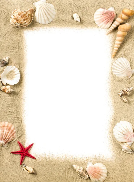 Moldura de conchas do mar — Fotografia de Stock