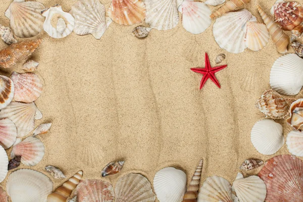 Moldura de conchas do mar no padrão de areia — Fotografia de Stock