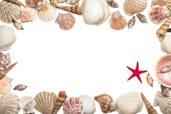 Sea shells frame — Stock Photo, Image