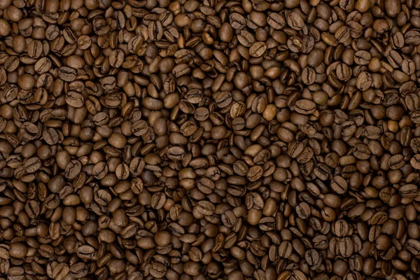 Hnědá kávová zrna pozadí a textury — Stock fotografie
