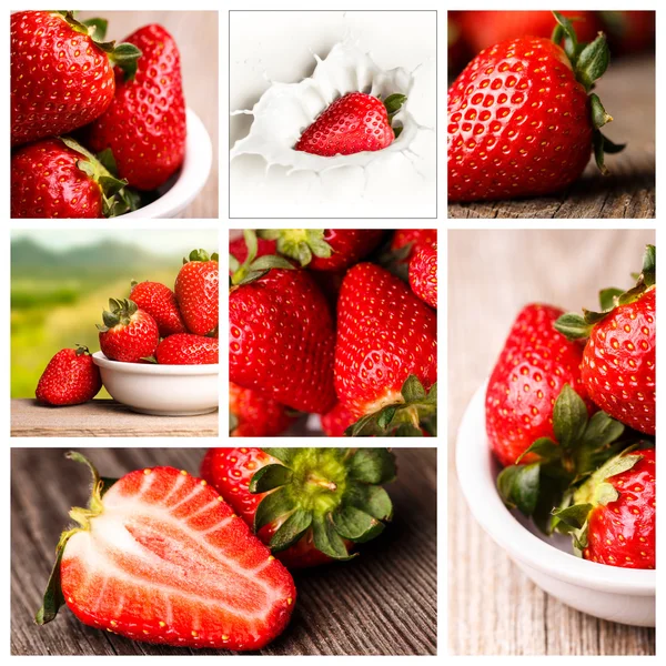 Fragole fresche — Foto Stock