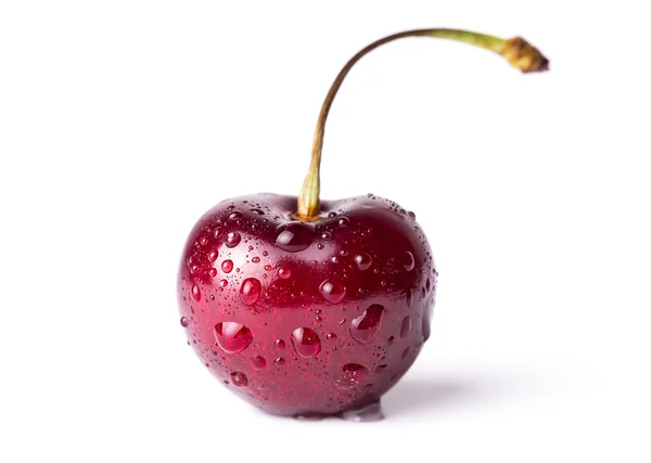 Cherry berry — Stock Photo, Image