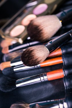 profesyonel fırçalar ve gölgeler