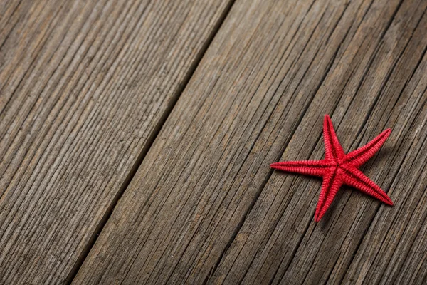 Röd sjöstjärna — Stockfoto
