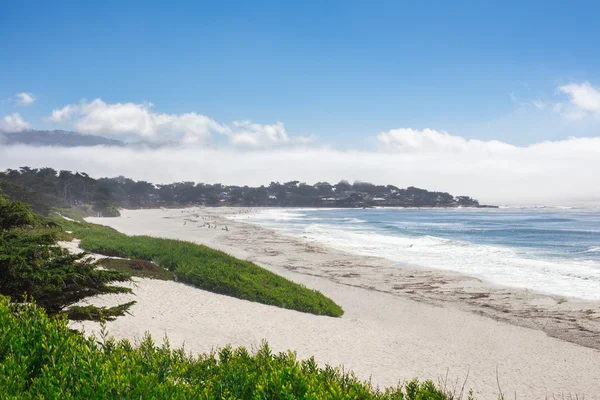 Beach — Stock Photo, Image