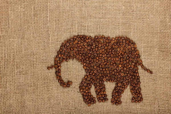 Elefante da chicchi di caffè Immagine Stock