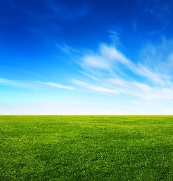 Image of green grass field and bright blue sky — Stock Photo, Image