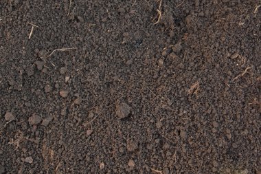Pattern of humus soil clipart