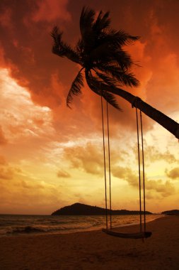 Hindistan cevizi hurma kum Beach'te günbatımı tarihinde Dönencesi salıncağa ile
