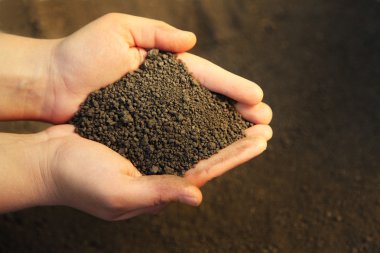 Image of soil in hands clipart
