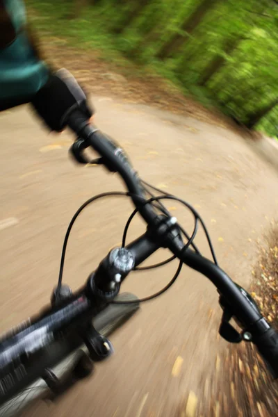 Верхова їзда на гірському велосипеді в лісі — стокове фото