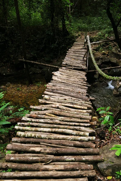 Bridge inside tropical jungle — Stock Photo, Image