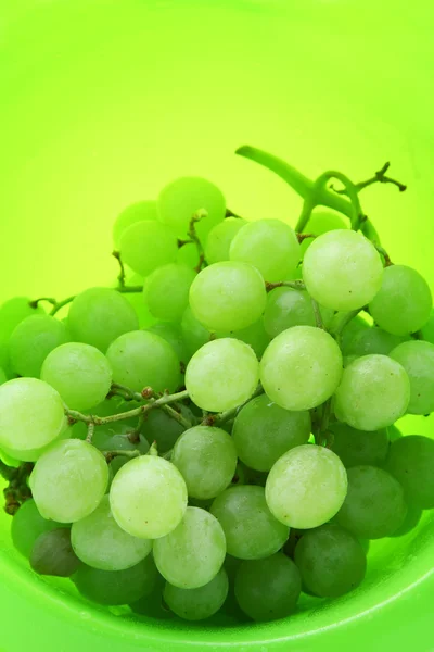 Image of bright green background with wet grape — Stock Photo, Image