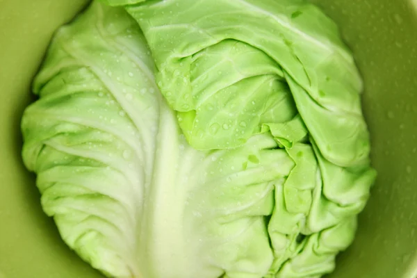 Εικόνα του λευκό λάχανο σε ένα βαθύ πιάτο closeup — Φωτογραφία Αρχείου