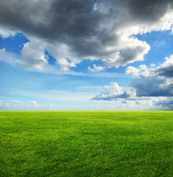 Imagen de campo de hierba verde y nubes pesadas en el cielo —  Fotos de Stock