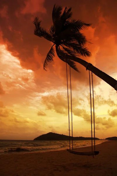 Palmera de coco con columpios en la playa de arena en el trópico al atardecer — Foto de Stock