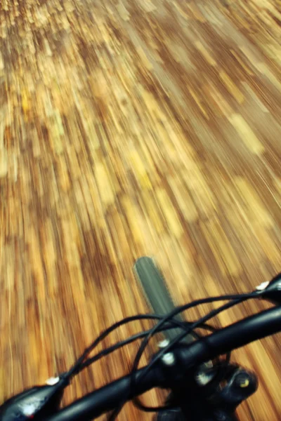 Riding mountain bike in autumn forest — Stock Photo, Image