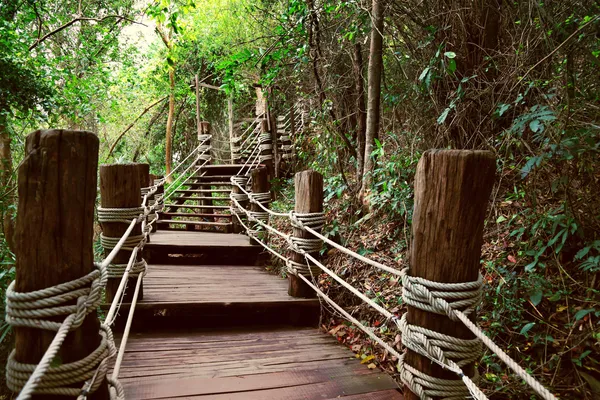 Image of stairway in jungle — Stock Photo, Image