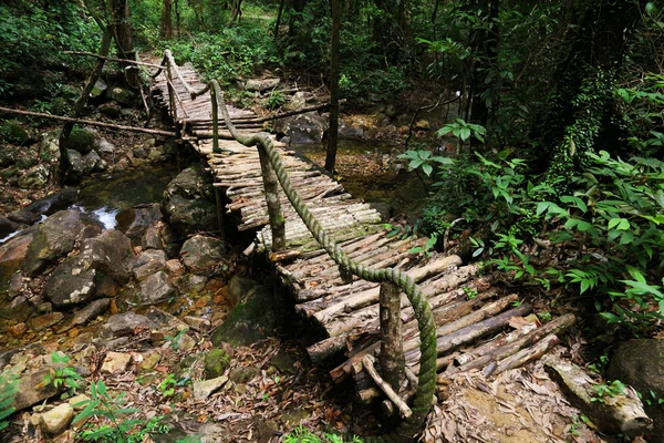 Мост внутри тропических джунглей — стоковое фото