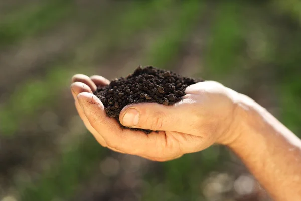 Изображение почвы в руке — стоковое фото
