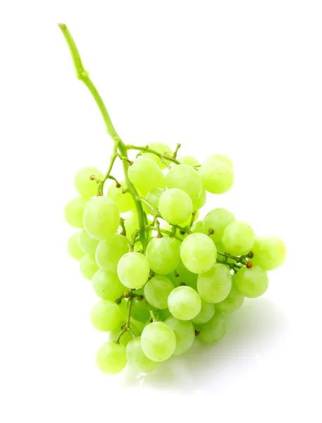 Image of green grape bunch isolated on white — Stock Photo, Image