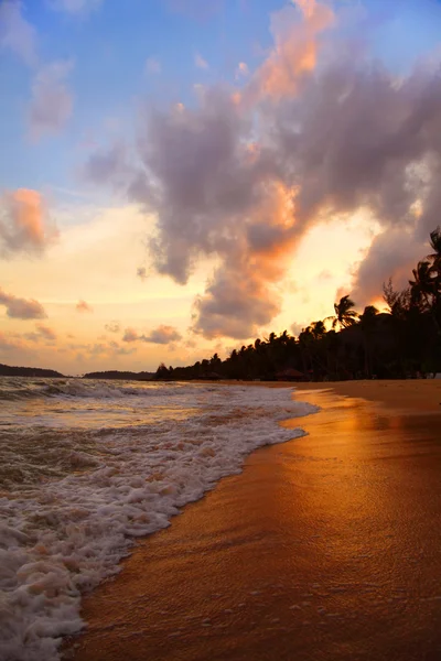 Palme da cocco sulla spiaggia di sabbia in tropico al tramonto — Foto Stock