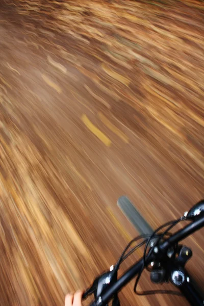 Equitazione mountain bike nel bosco — Foto Stock