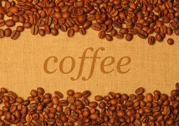 Coffee grains background with copy space — Stock Photo, Image