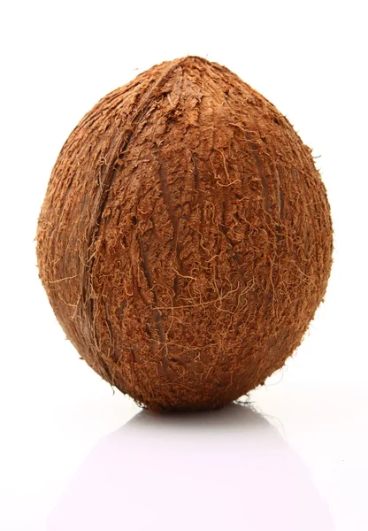 Image of coconut — Stock Photo, Image