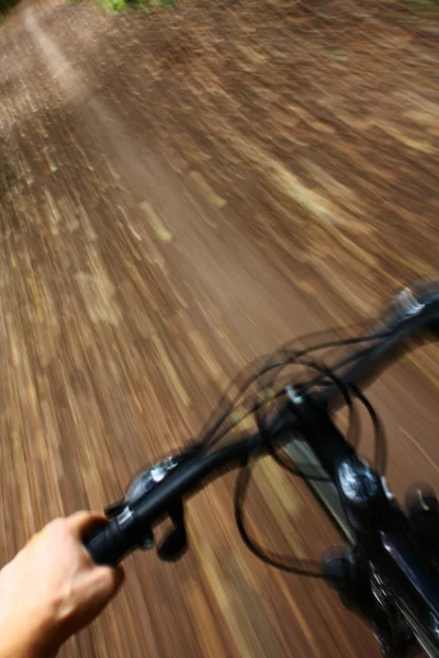 Equitazione mountain bike nel bosco — Foto Stock