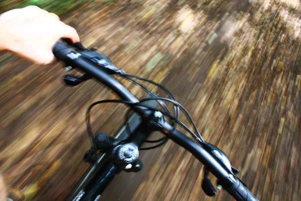 Mountainbike fahren im Wald — Stockfoto