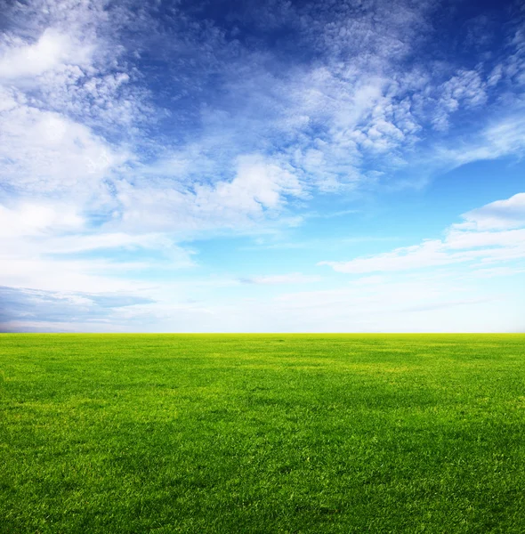 Imagem do campo de grama verde e céu azul brilhante — Fotografia de Stock