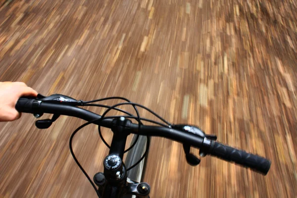 Верхова їзда на гірському велосипеді в лісі — стокове фото