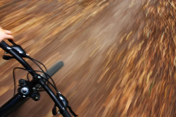 Mountainbike fahren im Wald — Stockfoto