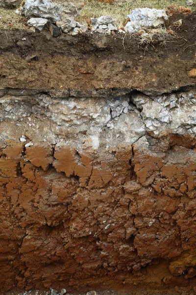 Изображение подземных слоев почвы — стоковое фото