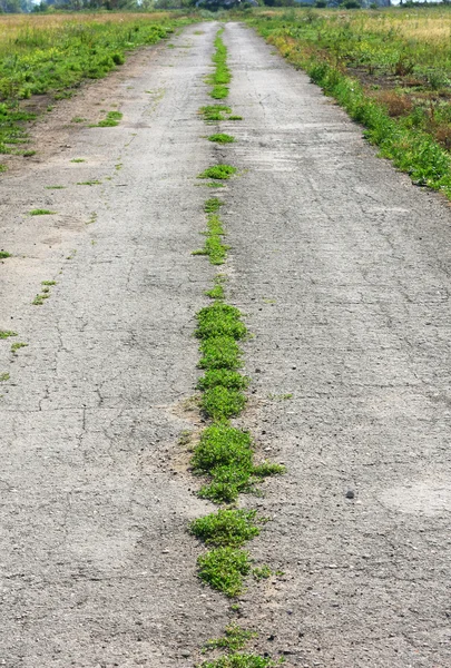 Afbeelding van de oude weg — Stockfoto