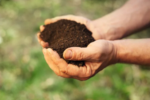 Immagine di terreno in mani — Foto Stock