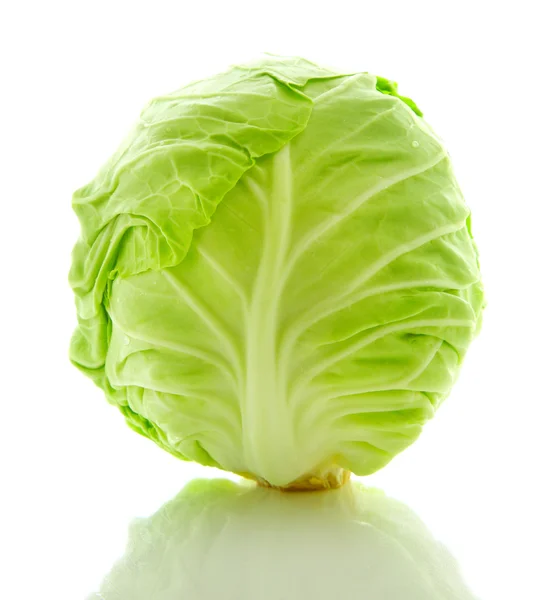 Image of white cabbage head — Stock Photo, Image