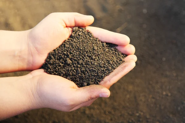 Image of soil in hands — Stock Photo, Image