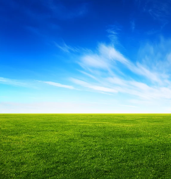 Imagen de campo de hierba verde y cielo azul brillante —  Fotos de Stock