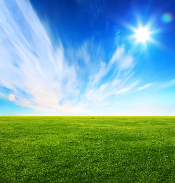 Imagen de campo de hierba verde y cielo azul brillante —  Fotos de Stock