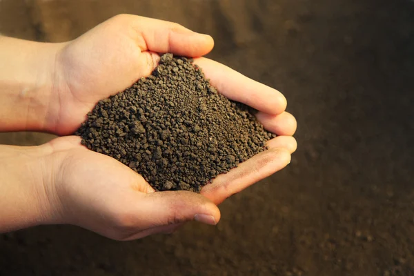 Image of soil in hands — Stock Photo, Image